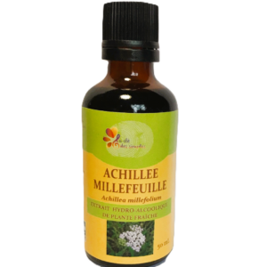 Achillée millefeuille