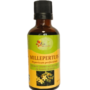 Millepertuis
