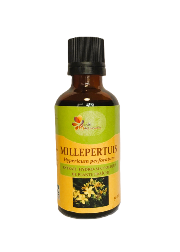 Millepertuis