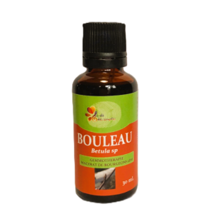 Bouleau