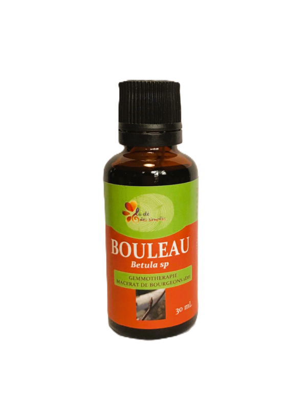 Bouleau