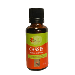 Cassis