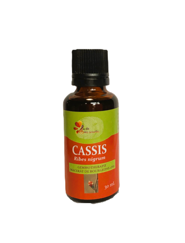 Cassis