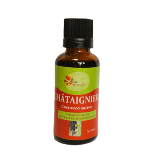 Châtaignier