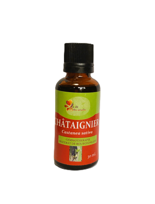Châtaignier