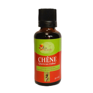 Chêne