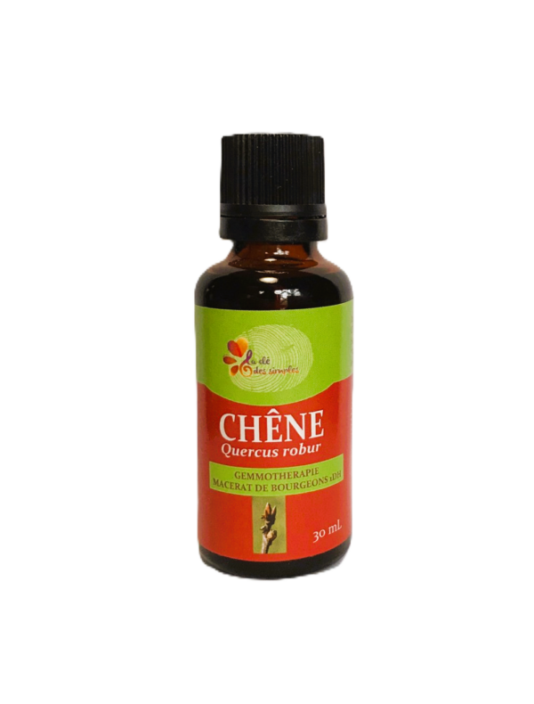 Chêne