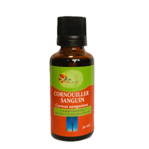 Cornouiller sanguin