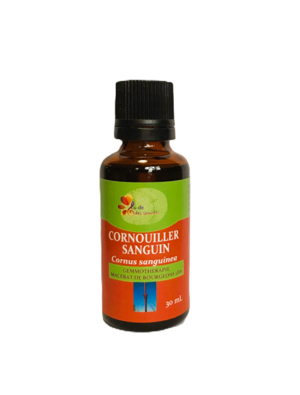 Cornouiller sanguin