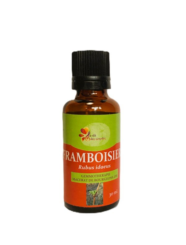 Framboisier