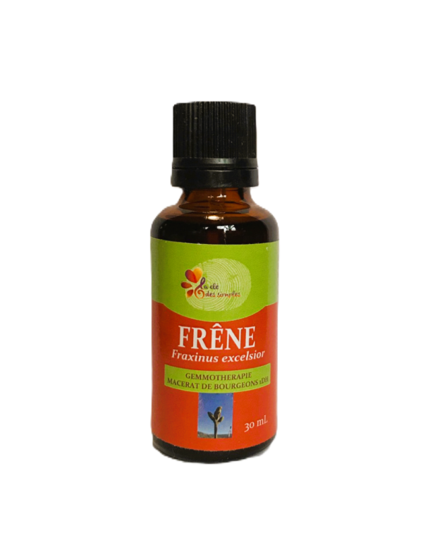 Frêne
