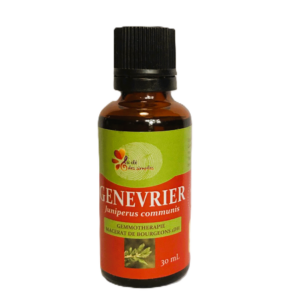 Genévrier