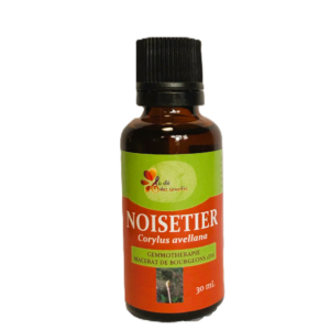 Noisetier