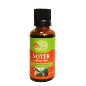 Noyer