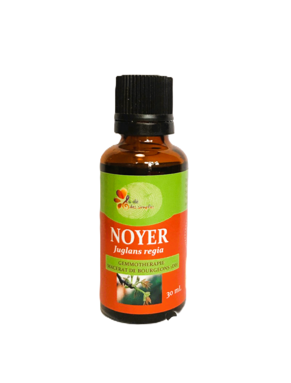 Noyer