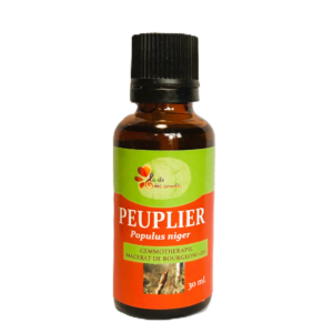 Peuplier noir