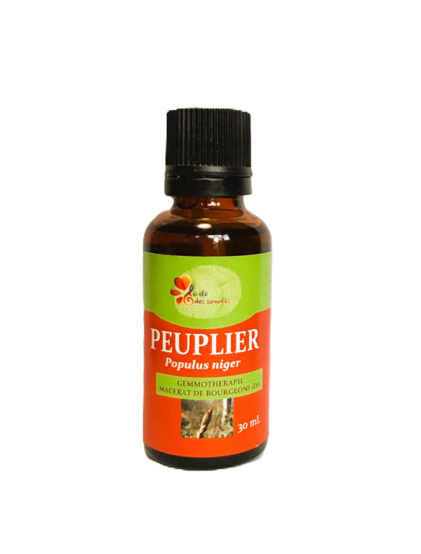 Peuplier noir