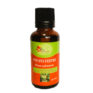 Pin sylvestre