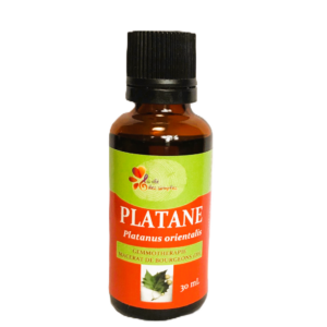 Platane