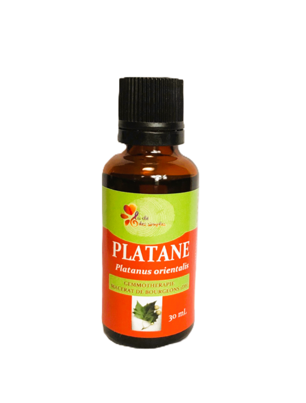 Platane