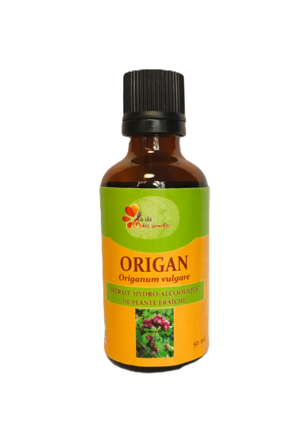 Origan