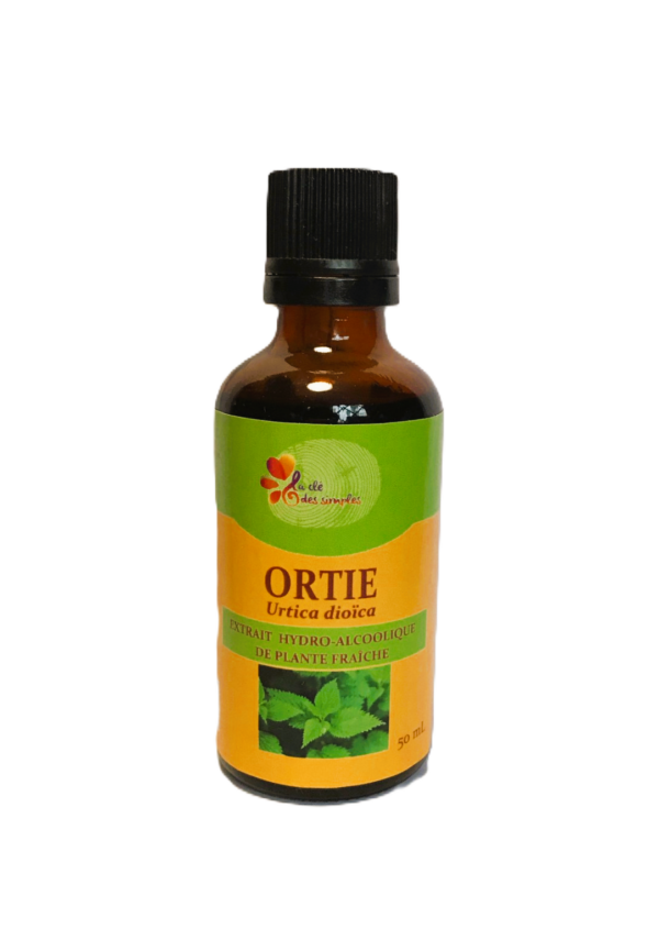 Ortie