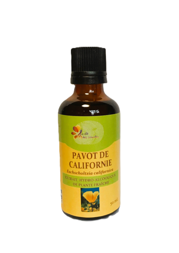 Pavot de californie