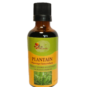 Plantain