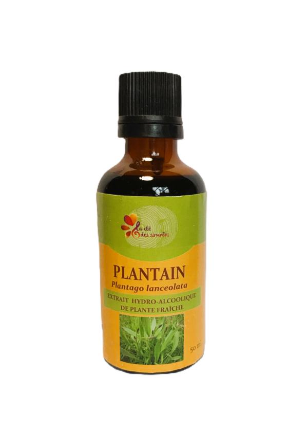 Plantain