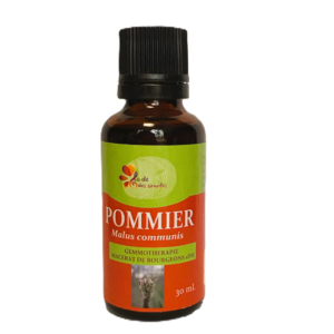 Pommier