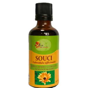 Souci