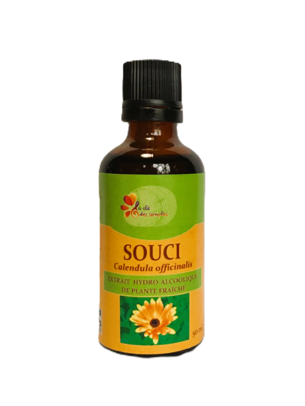 Souci