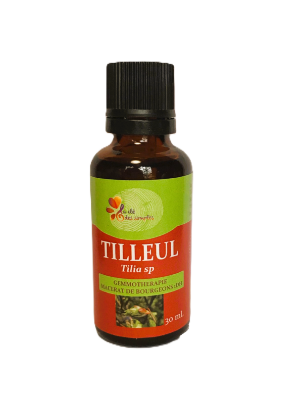 Tilleul